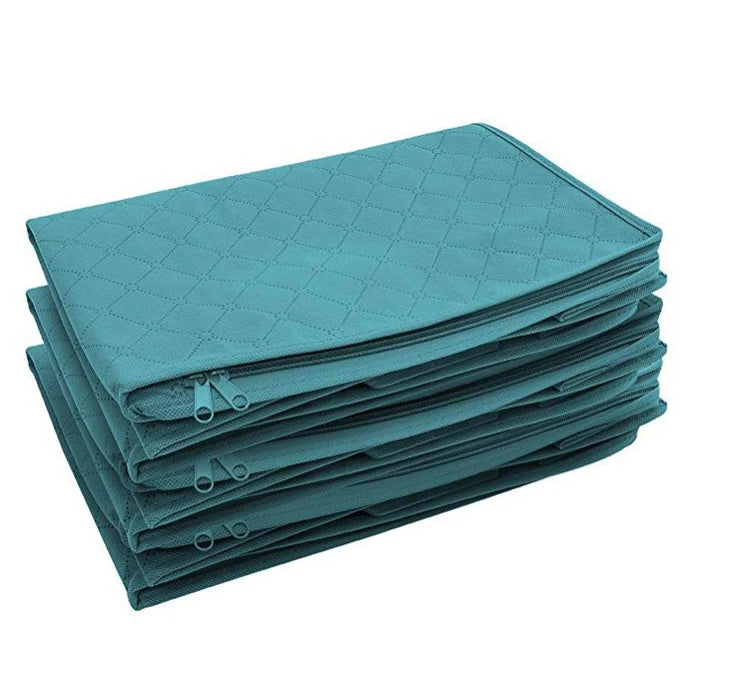 FoldAway Storage Organizer